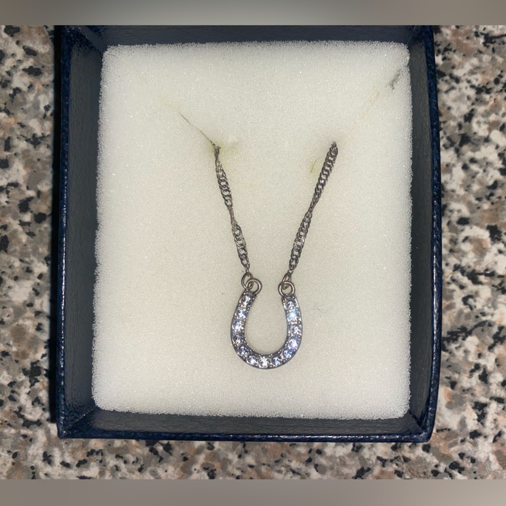 Montana silver horseshoe necklace.